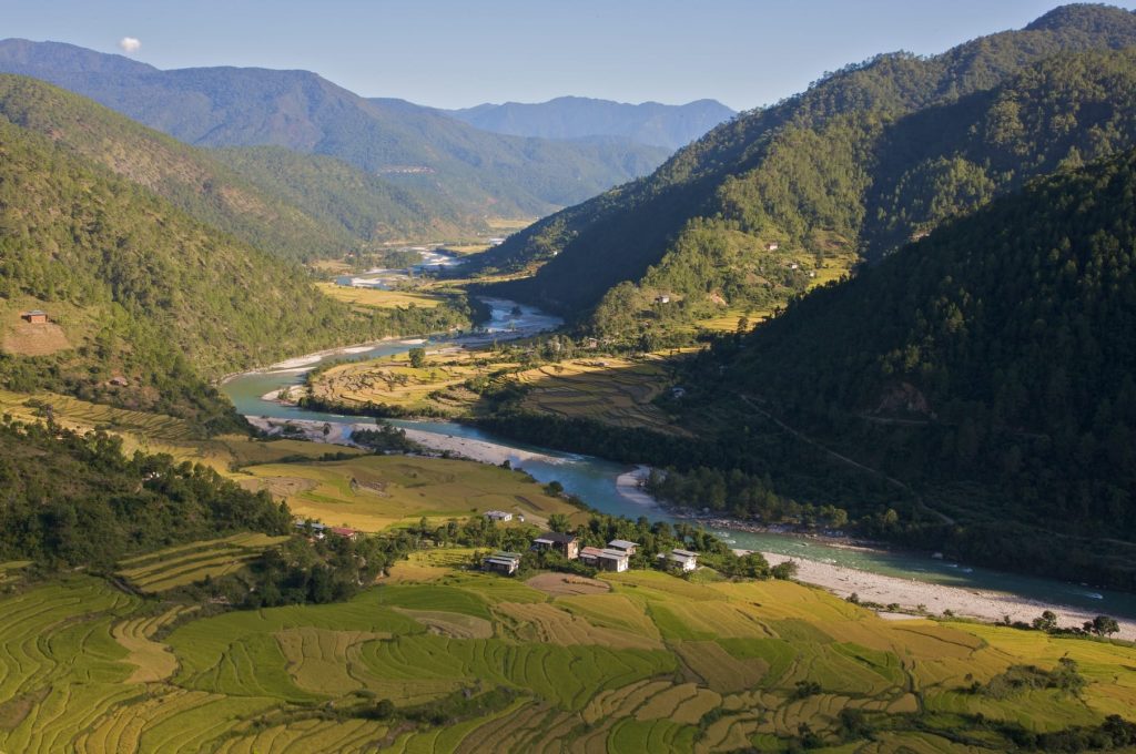 Bhutan Rice Paddies